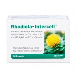 Rhodiola-Intercell 60 kaps.